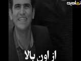  نقد و بررسی سریال محبوب لیسانسه ها 