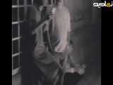 عاشقانه تو را دوست دارم