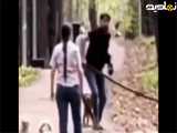  درگیری میان سگ‌ها منجر به درگیری صاحبان آن‌ها 