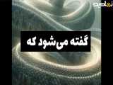 بزرگترین مار تیتانوبواست