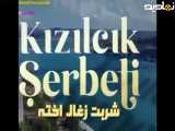 سریال شربت زغال اخته - خلاصه قسمت ۳۰۷ - دوبله فارسی