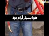 بزرگترین ماهی ترکیبی جهان