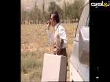 سریال شب های برره سکانس برتر