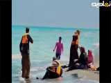 سکانس لب دریا رفتن سریال پایتخت |طنز
