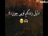 کلیپ عاشقانه  ... عاشقتم تا ابد ...