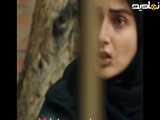 سکانسی از قسمت اول سریال شغال