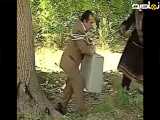 سریال شب های برره 15