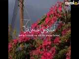 سوره یوسف آیه 64