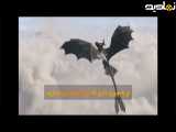 تیزر فیلم چگونه اژدهای خود را تربیت کنیم How to Train Your Dragon 2025