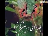 آهنگ جدید  محلی زیبا
