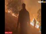 تلاش برای مهار آتش سوزی منطقه سیاه کوه ایلام