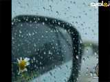 موزیک ویدئو بابونه و هوای بارانی