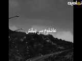 کلیپ شاد شاهزعبدلله