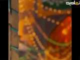 مداحی امام رضا (ع)