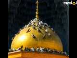 کلیپ شهادت امام رضا(ع)