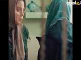 سکانسی از سریال شغال قسمت۴