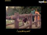 فیلم هندی سرزمین زیرنویس فارسی