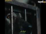 فیلم سینمایی ترسناک دلهره آور آخرالزمانی « گرگ | Wolf » دوبله فارسی