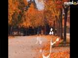 موزیک ویدیو ،صدا.آهنگ .تصویر
