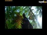فیلم سینمایی ترسناک-28سال بعد-دوبله فارسی-2025-