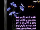 شعر زیبای می ترسم