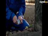 فیلم روز های عالی دوبله فارسی ۲۰۲۳