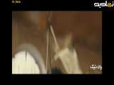تیزر فیلم آریا شهر دو نفر