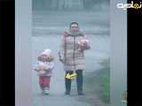 کمک کردند انسان ها برای نجات پرندگان