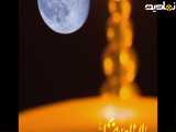 امام رضا علیه السلام