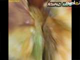 پپپپپپپپپیییییییییتتتتتزززززززااااااا