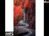 کلیپ طبیعت آرامش بخش منظره زیبا و بکر(۷)