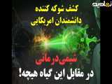 کشف جدید علمی: مرگ سلول های سرطانی روده در ۳ ثانیه با این داروی گیاهی!