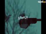 دل دنیا رو خون کردی