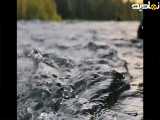 صدای آرام بخش آب