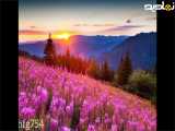 کلیپ بسیار زیبا و آرام بخش از طبیعت(۶)