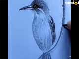 (ویژه کودکانه)| نقاشی کردن پرنده️
