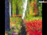 ویدیو کوتاه مناظر طبیعی