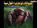 چرا جزیره ها حیوانات رو به غول تبدیل می کنن؟