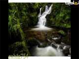 طبیعت زیبا در جنگل شگفت انگیز - رودخانه و آبشار (3)