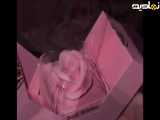 ۱۹مهر روز دختر مبارکه