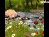 به به چه طبیعت آرام بخشی