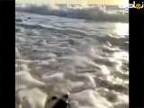 هم سو شدن با دریا