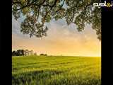 عکس زیبا از طبیعت برای استوری 42