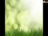 عکس زیبا از طبیعت برای استوری 52