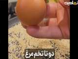 صبحانه خفن و خوشمزه
