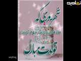 کلیپ تولد ۱۷ شهریور برای استوری