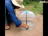 نحوه ساخت تله پرنده زنده گیر با استفاده از مواد دور ریز