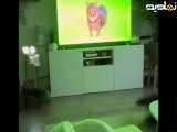 ویدیو بامزه واکنش گربه ها به آهنگ عو عی عا