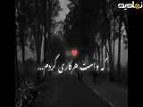 حال خوب تقدیم به شما