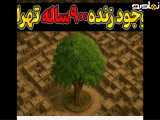 تنهاموجودزنده ی ۹۰۰ ساله ی تهران